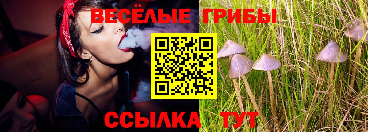 Псилоцибиновые грибы прущие грибы Шелехов