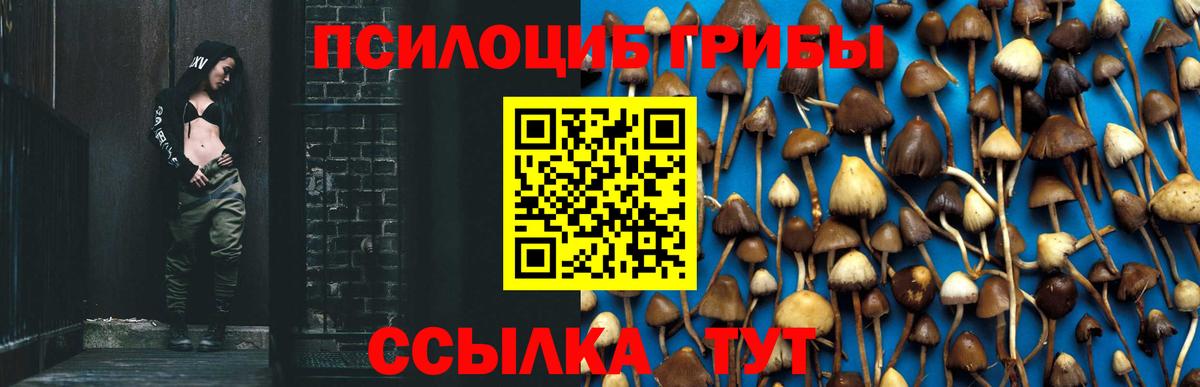 Псилоцибиновые грибы мухоморы  купить  цена  Шелехов  Вход с VPN 